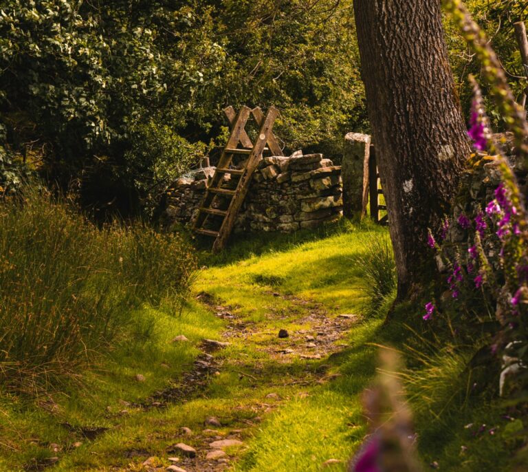 countryside walks in sussex